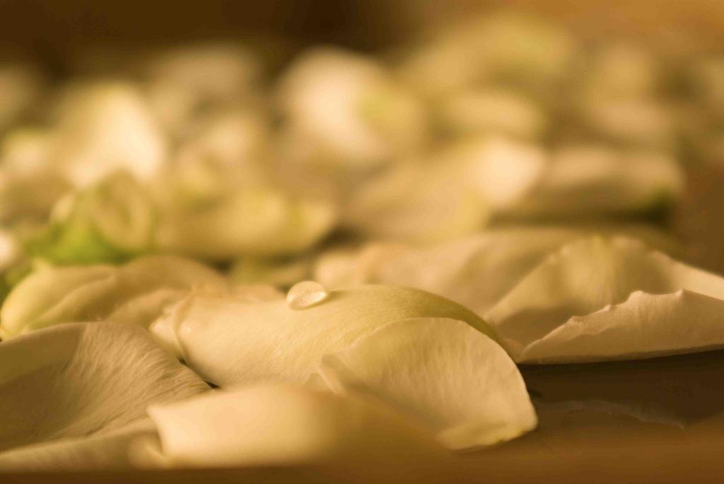 Riad Lotus Privilege Marakeş Dış mekan fotoğraf